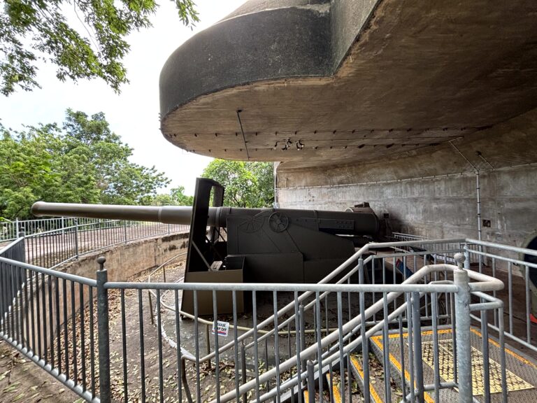 Read more about the article „Fujiwara Kunihiro” in Darwin begegnen: Die spirituelle Essenz des japanischen Schwertes